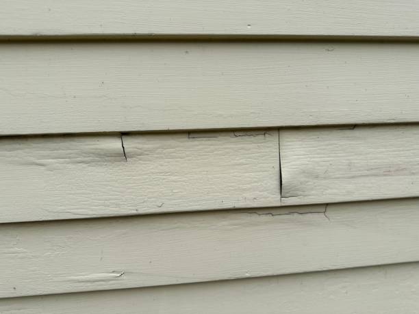 Best Historical Building Siding Restoration  in Monticello, KY